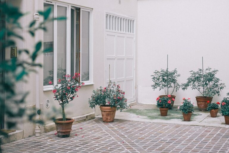 taman rumah minimalis