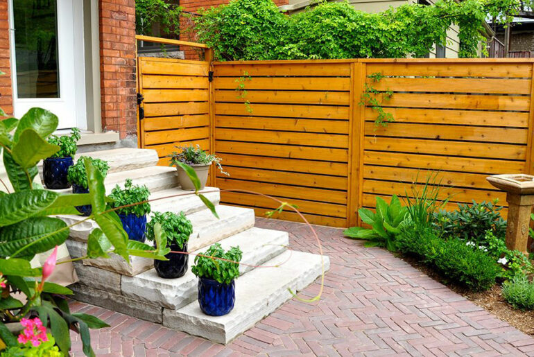 tanaman hias depan rumah